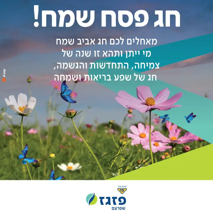 עיצוב סושיאל